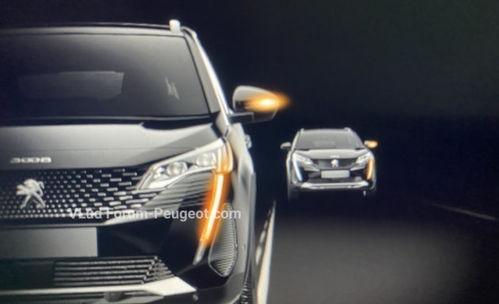 标致新款爆料视频下载安装,视频爆料解析与安装体验分享”  第2张