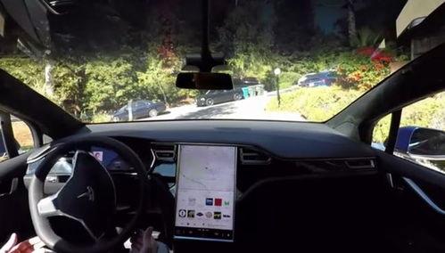 特斯拉爆料小鱼视频播放,小鱼视频播放背后的秘密大揭秘 第2张 特斯拉爆料小鱼视频播放,小鱼视频播放背后的秘密大揭秘 第2张